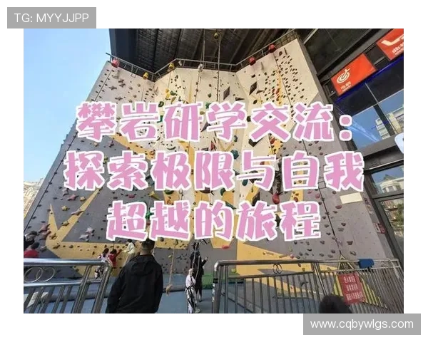 深入探讨上海攀岩队技术表现的数据分析与提升策略